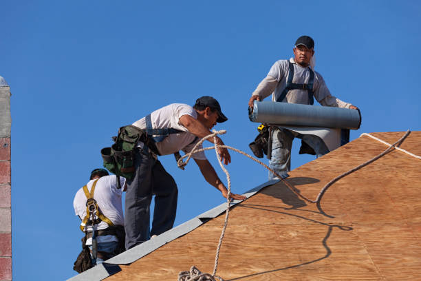 Best Local Roofing Companies  in Wahese, NC