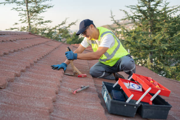 Best Roof Waterproofing Services  in Wahese, NC
